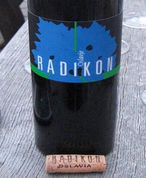 Radikon 2004