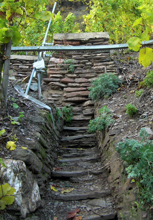 Ürzig Erden KW Treppe 7